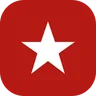 Logo Big Star